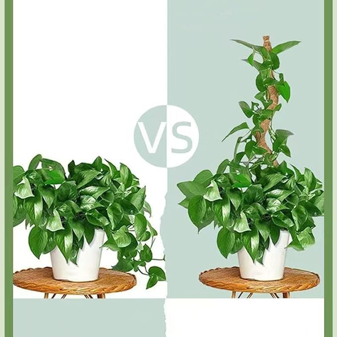 Moss Pole,63 Inch Monstera Plant Support, Upgraded 7mm Aluminum core Moss Poles for Climbing Indoor Plants DIY, Coco Coir Plant Pole Moss Plant Stick Support Stake Kit for Potted Plants Pothos