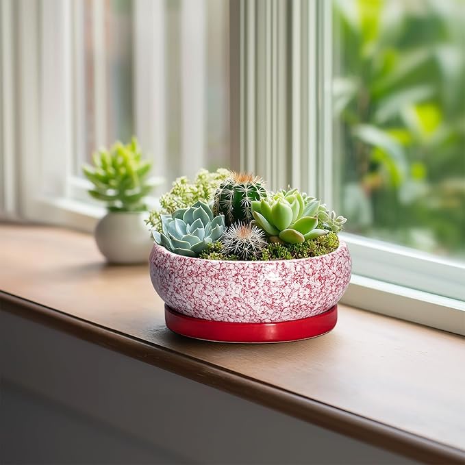 EPFamily Bonsai Pots Small - 6 Inch Ceramic Succulent Pots with Drainage Hole and Ceramic Saucer, Succulent Planters Indoor Outdoor, Shallow Round Planter, Apartment Decor, Housewarming Gifts, Red