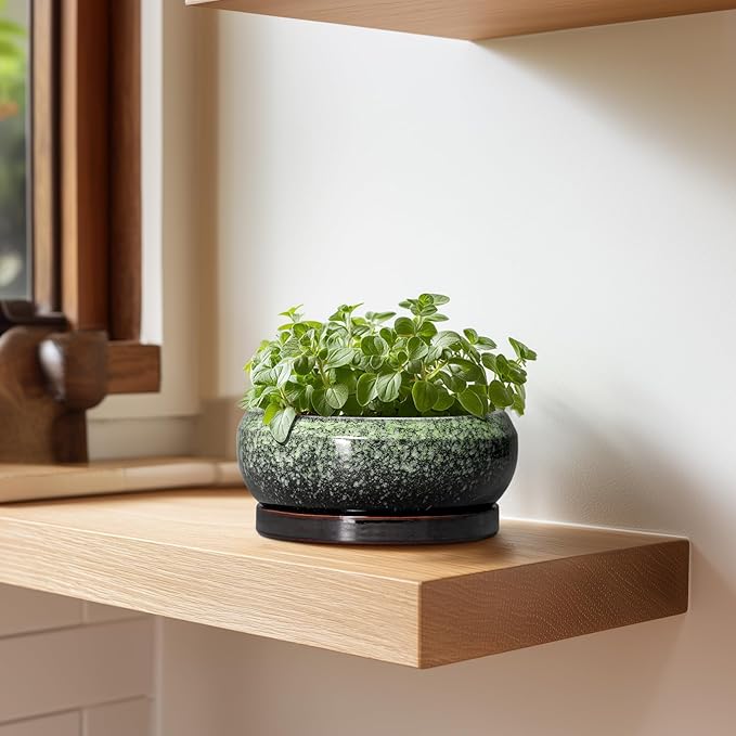 EPFamily Succulent Pots 6 Inch - Ceramic Bonsai Pots with Drainage Hole and Saucer, Succulent Planters for Indoor Outdoor, Small Shallow Planter, Round Cactus Pot, Room Decor, Plant Lover Gift, Green