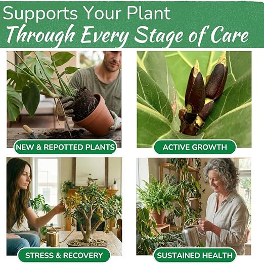 Indoor Plant Food by Houseplant Resource Center - Organic Liquid Fertilizer for Pothos, Peace Lily, Monstera, Cactus and More - 8 oz