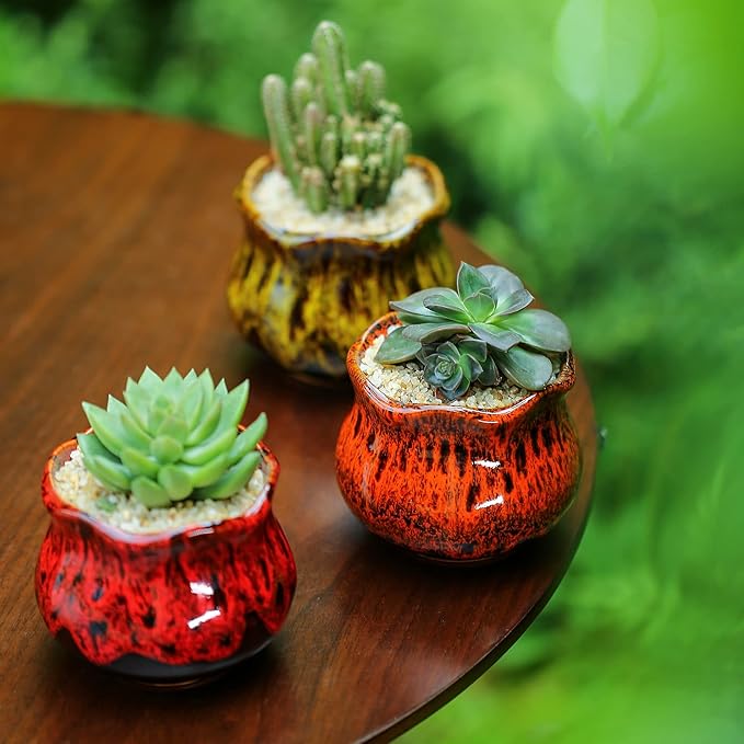 Fulloog Cute Ceramic Succulent Planters, Garden Pots with Drainage and Attached Saucer, Set of 6 - Plants Not Included