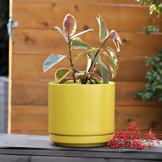 PLANTATOREM Ceramic 14 Inch Mid Modern Planter Pot with Drainage Hole and Saucer, Indoor Cylinder Round Flower Pot, Perfect for Planting Succulents, Herbs, Flowers, House Plants, Bumblebee