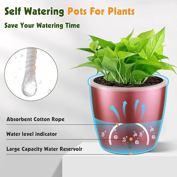 KvyusFlourish Self Watering Pots for Indoor Plants, 6-Pack 5'' Self Watering Planter with Drainage Holes, Small African Violet Pots with Water Indicator, Clear Wick Orchid Pot, Rose Gold