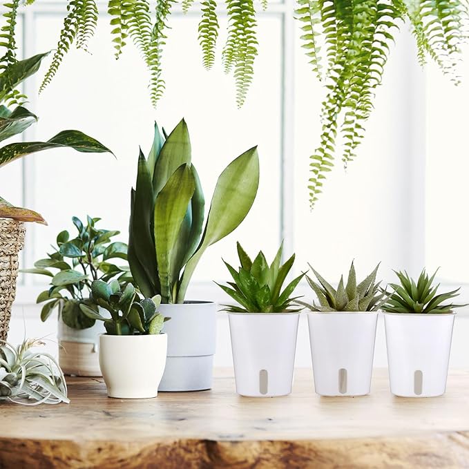 Ziliny 30 Pcs 3 Inch Self Watering Pots Self Watering Planters for Indoor Planters Plastic Garden Flower Pots with Level Indicator Vents for Herbs