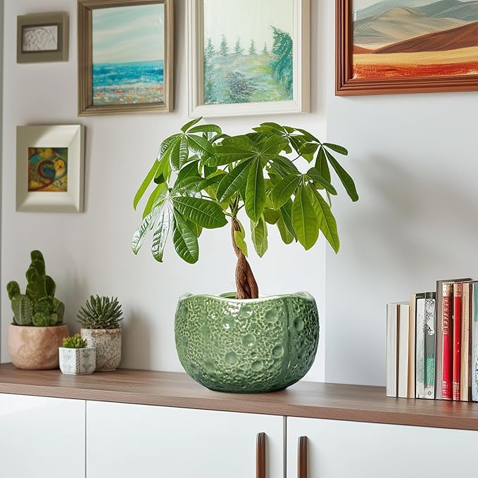 Thirtypot 8 Inch Plant Pot - Ceramic Pots for Plants with Drainage Hole, Round Decorative Plant Pots for Indoor Outdoor, Modern Unique Flower Pot, Office Decor, Garden Gifts, Green
