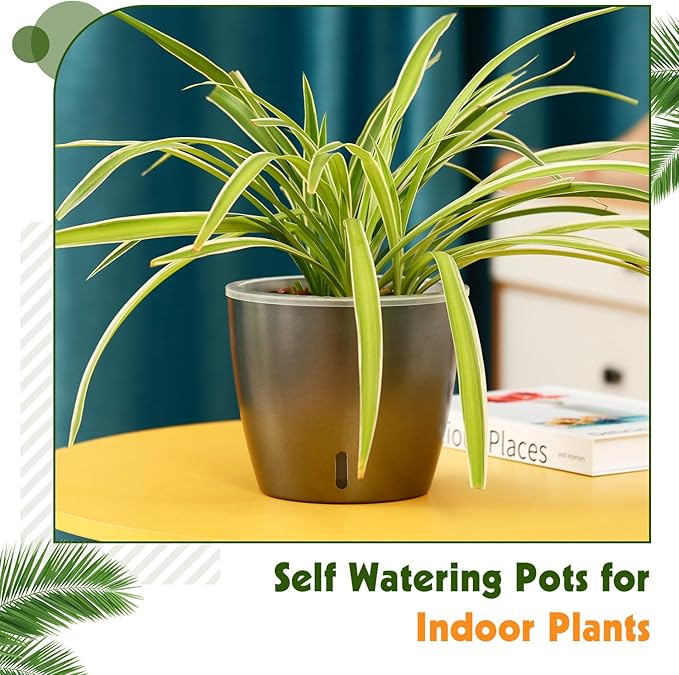 KvyusFlourish Self Watering Pots for Indoor Plants, 6-Pack 6.7'' Self Watering Planter with Drainage Holes, Small African Violet Pots with Water Indicator, Clear Wick Orchid Pot, Grey