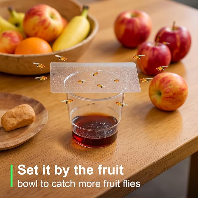 Fruit Fly Trap Covers, Double-Sided Sticky Adhesive Cards for Gnats, Fruit Flies, Moths, Kitchen Insect Control (49Pcs)