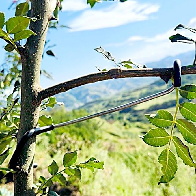 Fruit Tree Branch Limb Spreader 20PCS Limb Spreader Versatile Durable Solution for Tree Support Branches Extension (10 inches)