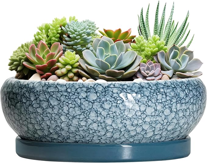 EPFamily Large Succulent Planters - 13 Inch Ceramic Bonsai Pots with Drainage Hole and Saucer, Shallow Plant Pots Indoor Outdoor, Large Planter Bowl, Round Planter, Garden Decor, Gardening Gift, Blue