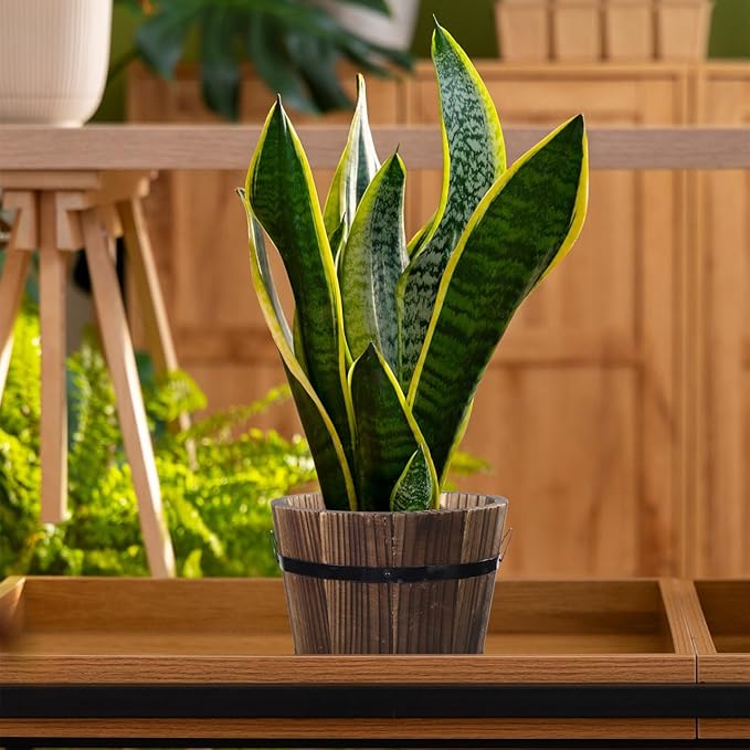 Wooden Round Barrel Planter Flower Pot for Succulents with Permeable Bottom 7.08X7.08X5.9 Inches Indoor Outdoor Home Office Garden D Cor