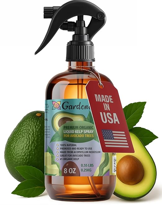 GARDENERA Professional Organic Liquid Kelp Spray for Avocado Plants - 8 oz - Ready-to-Use Fully Organic Seaweed & Kelp Fertilizer Mist