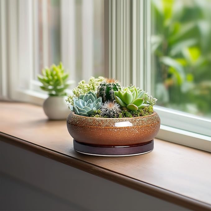 EPFamily Succulent Pots - 6 Inch Ceramic Bonsai Pots with Drainage Hole and Tray, Succulent Planters for Indoor Outdoor, Shallow Round Planter, Cactus Pot, Desk Decor, Plant Lover Gifts, Retro Brown