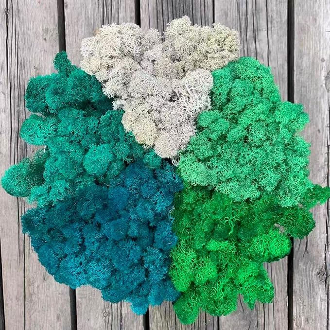 prefleur Preserved Reindeer Moss Natural Green DIY Kit Gardenning Art Wall Decor Florist Decor Easter Table Decor Wedding