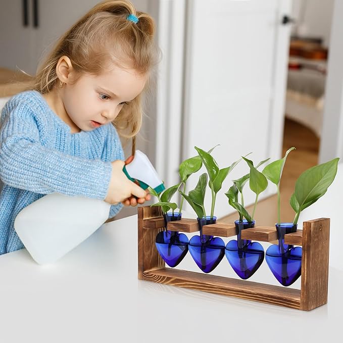 CYZglass Heart Plant Terrarium Kit Gift for Women Plant Lover Glass Vases