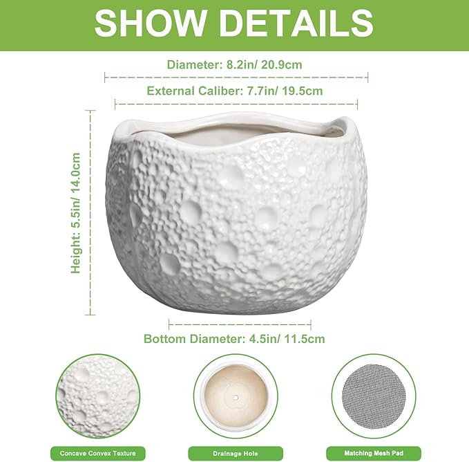Thirtypot Ceramic Plant Pot - 8 Inch Round Planter with Drainage Hole, Decorative Plant Pots for Indoor Outdoor Plants, Modern Unique Flower Pots, House Living Room Decor, Housewarming Gifts, White