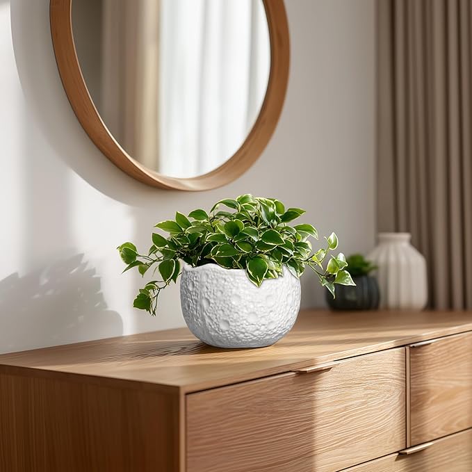 Thirtypot Ceramic Pots for Plants - 6 Inch Plant Pot for Indoor Outdoor, Decorative Orchid Pots with Drainage Hole, Unique Round Modern Planters, Home Decor, Gifts for Plant Lovers, White