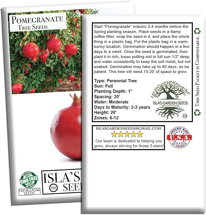 Pomegranate Tree Seeds (Punica granatum) – 30+ Non-GMO Fruit Tree Seeds for Planting, Beautiful Ornamental Tree with Sweet Edible Fruit, by Isla’s Garden Seeds, Gift Idea