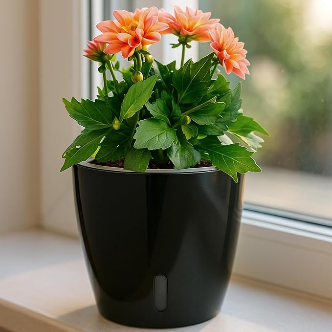 KvyusFlourish Self Watering Pots for Indoor Plants, 12-Pack 5'' Self Watering Planter with Drainage Holes, Small African Violet Pots with Water Level Indicator, Clear Wick Pot, Black