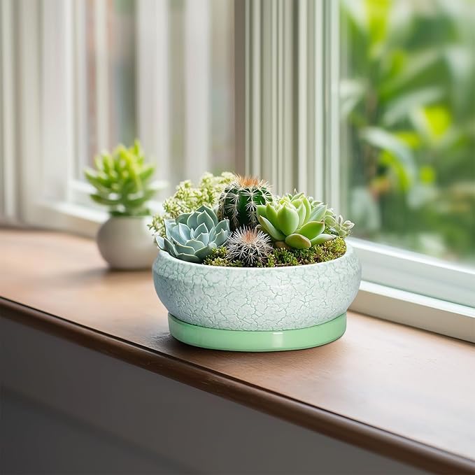 EPFamily Succulent Pot 6 Inch - Ceramic Bonsai Pots Indoor Outdoor, Shallow Plant Pots with Drainage Hole and Saucer, Small Bonsai Planter, Round Bowl Planter, Desk Decor, Housewarming Gifts, Green