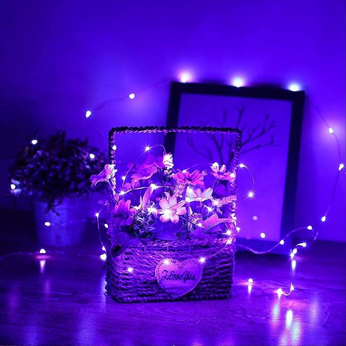 RUICHEN Silver Wire 33 Ft 100 LED USB Fairy String Lights with On/Off Switch (Purple)