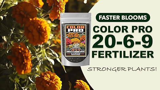 Fertilizer Commercial Grade | Color Pro 20-6-9 | 1 Pound | Custom Professional Mix Blend | Controlled Release for Annuals & Groundcovers | 6 Month Nutrition | Balanced NPK Formula with Micronutrients