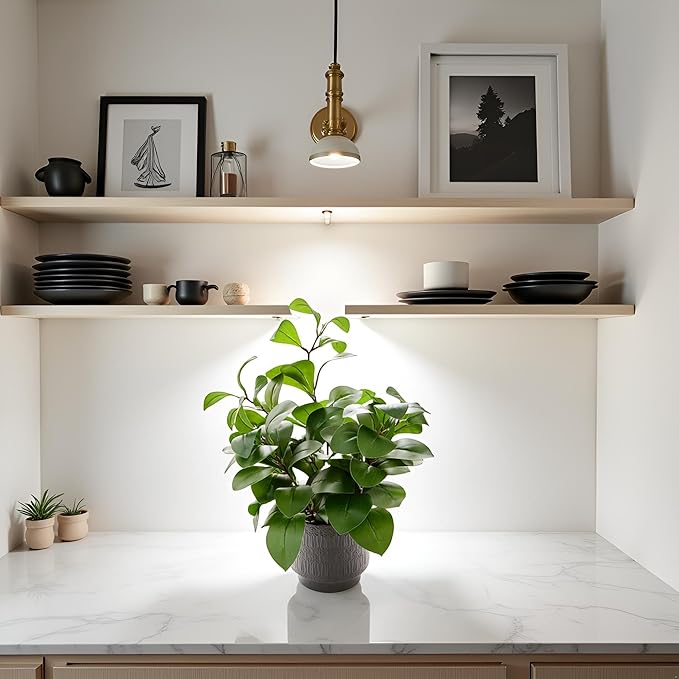Ewtogift 19" Artificial Ficus Plant in Textured Black Ceramic Planter Tall Faux Plant with Deep Green Leaves for Modern Home Office Shelf Bathroom Tabletop Indoor Decor