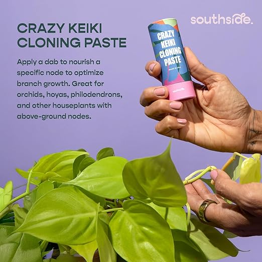 Southside Prop Box – Holiday Gift Set for Plant Lovers - Includes Keiki Paste, Root Drops, Leafy Plant Food & Propagation Cones - Complete Indoor Plant Propagation & Care Kit