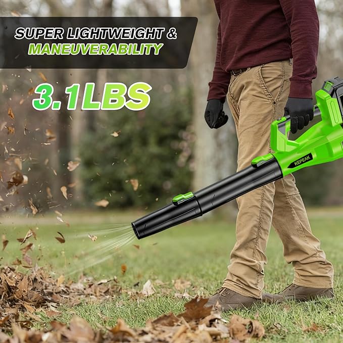 Leaf Blower Cordless, 650CFM & 280MPH Electric Leaf Blower with 2 x 21V4.0Ah Batteries and Fast Charger, 6 Speed Modes, for Lawn Care, Yard Work, Blowing Leaves, Dust