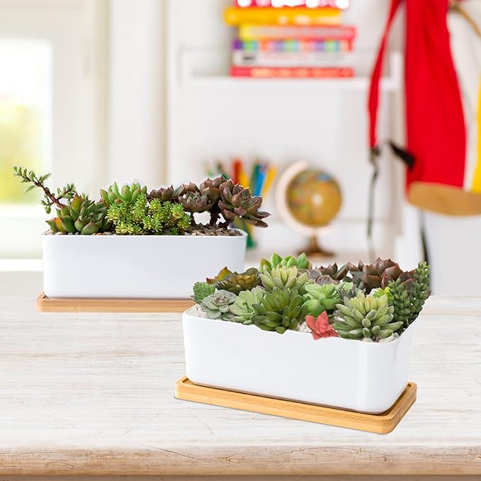 ARVINKEY White Ceramic Succulent Planters, Indoor and Outdoor Succulent Planters, Set of 2 Small Cactus Containers, Bonsai Pots, Flower Pots with Drainage Hole and Bamboo Bowl (No Plant)