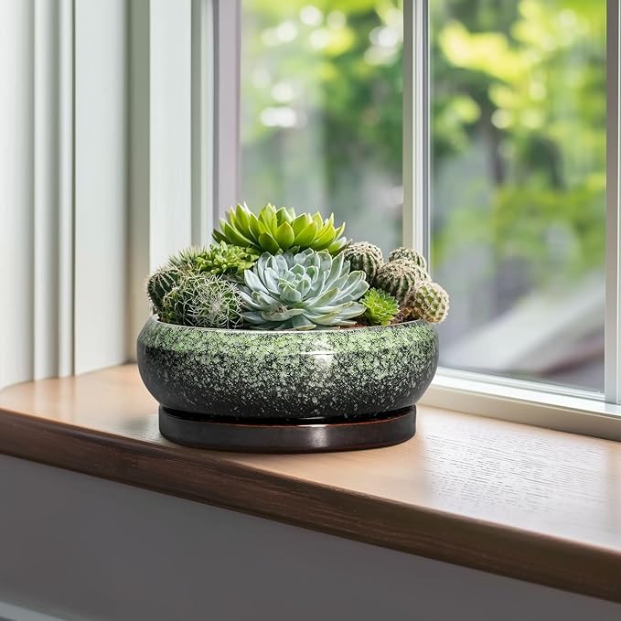 EPFamily Bonsai Pots 10 Inch - Ceramic Pots for Plants Indoor Outdoor, Succulent Pot with Drainage Hole and Saucer, Large Bonsai Planter, Round Shallow Planter, Office Decor, Gardening Gift, Green