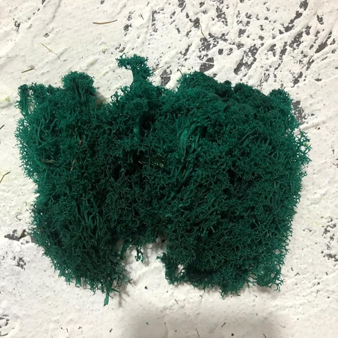 prefleur Preserved Reindeer Moss Natural Green DIY Kit Gardenning Art Wall Decor Florist Decor Easter Table Decor Wedding