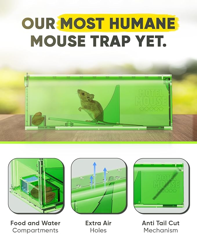 Motel Mouse Humane Mouse Traps No Kill Live Catch and Release 2 Pack - Reusable, Easy to Use & Clean, No Touch Release, Sensitive Includes Cleaning Brush, Instruction Manual & Video - Mousetrap Indoor