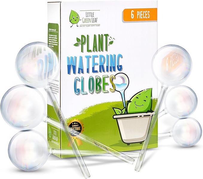 Automatic Plant Watering Globes Self Watering Planter Inserts (Set of 6) | Hands Free Clear Glass Bulbs | Planter Spikes to Support Indoor & Outdoor Plant Health (200ml)