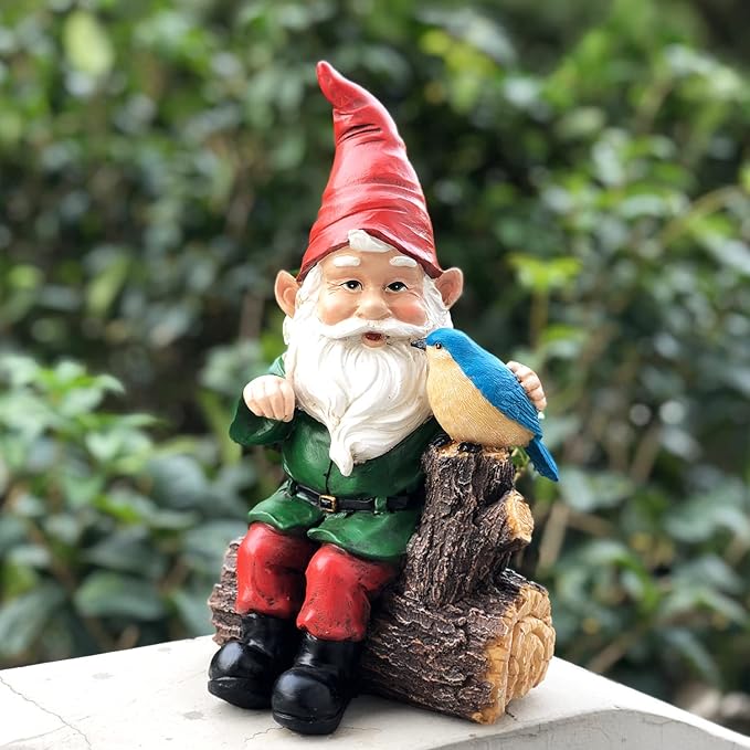DUSVALLY Garden Gnome Statue, Outdoor Decoration Statues Vivid Statue Statuary Garden Sculptures Yard Décor, Gnome and Bird