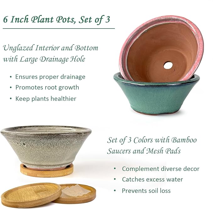 Summer Impressions 6 Inch Glazed Terracotta Succulent Pot Planter Small Plant Pot with Drainage Hole and Bamboo Saucer Cactus Ceramic Pot Set of 3 (Light Green Pink White)