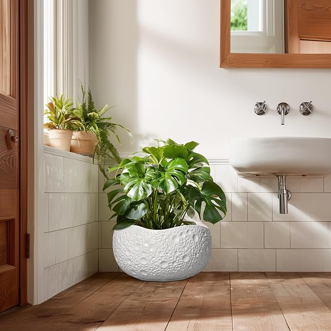 Thirtypot Large Bonsai Pots - 13 Inch Ceramic Planter for Indoor Outdoor, Round Plant Pot, Decorative Flower Pots with Drainage Hole, Modern Unique Planters, Garden Decor Home, Garden Gifts, White