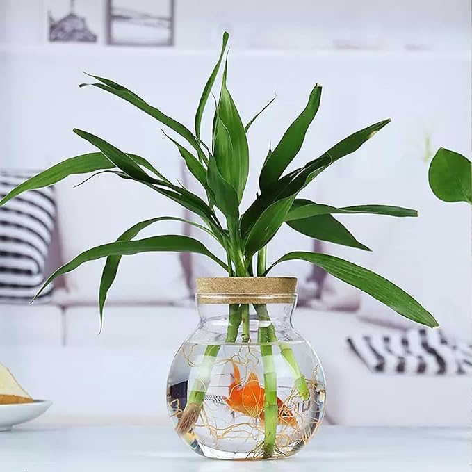 Plant Propagation Station - Glass Terrarium Vase Set of 4 for Hydroponic Plants, Desktop Glass Planter,Centerpiece Office,Door Home Garden Decor,Sizes of About 2 Plants,Office Decor Gift Idea Cu