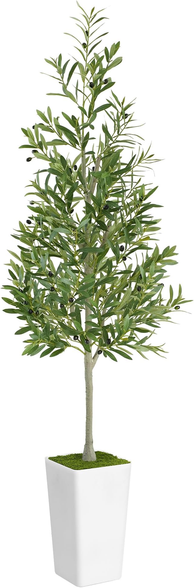 ProDeco Artificial Olive Tree 6ft - Realistic Tall Fake Plants for Office Living Room Bedroom Home Decor Indoor - Faux Floor Green Silk House Corner Large Potted Plants