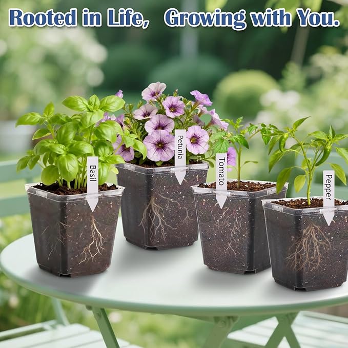 RooTrimmer 5.5 Inch Clear Square Nursery Pots with Drainage & Labels, 30Pcs Reusable Seed Starter Pots for Vegetables, Indoor Outdoor Gardening, Thick Transparent Plastic Plant Pots for Seed Starting