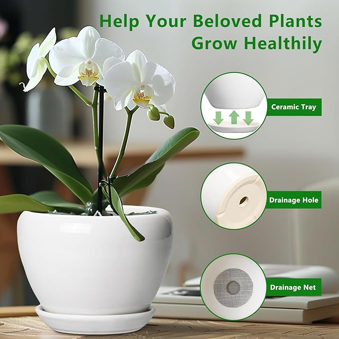 Ceramic Pot for Plants - 10 Inch Planter with Drainage Hole and Saucer, Glaze Modern Round Flower Pot for Indoor Plants, Housewarming Gift, Home Decor, White