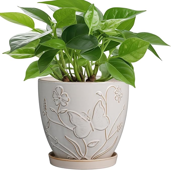 MPotTo 6 Inch Ceramic Plant Pot for Indoor Plants Outdoor Round Planter Flower Pot with Drainage Hole and Saucer for Home Garden Office Decor White