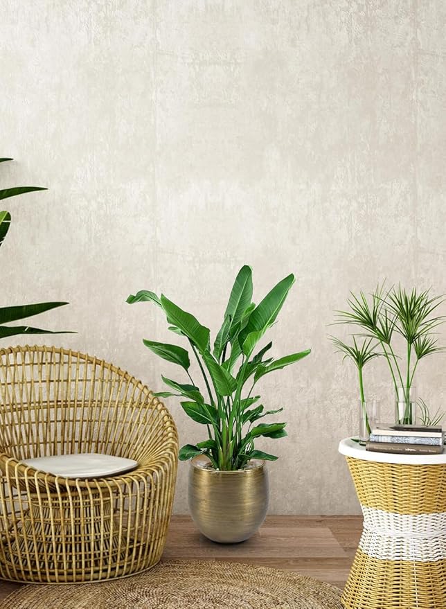 Serene Spaces Living Brass-Toned Aluminum Cachepot Planters, Handcrafted in India, Elegant Wedding, Home & Office Decor, Vintage Planter for Indoor Plants, Flowers, Table Centerpieces, Small, Set of 4