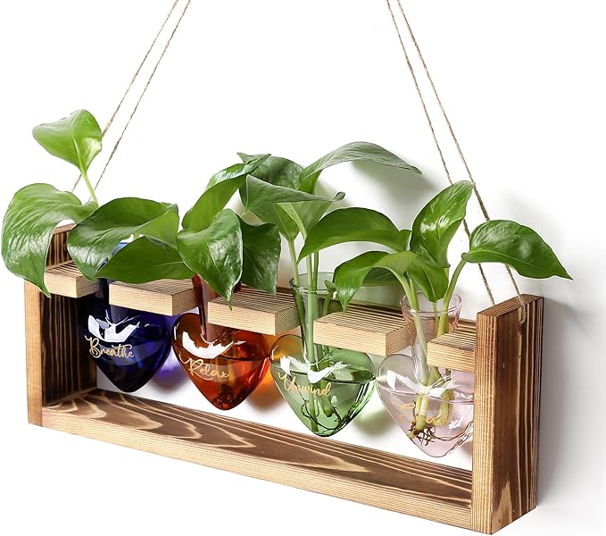 CYZglass Plants Propagation Stations Plant Terrarium Kit for Bathroom Glass Planters for Indoor Plants Bathroom Decor Accessories - Relax Soak Unwind Breathe