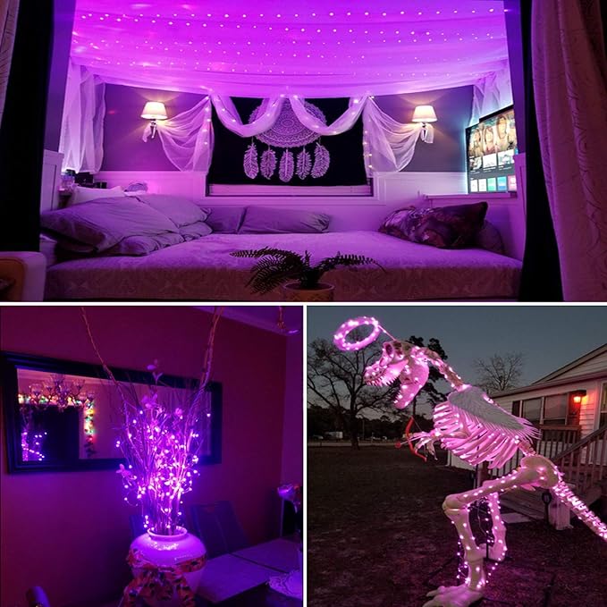 RUICHEN Silver Wire 33 Ft 100 LED USB Fairy String Lights with On/Off Switch (Pink)