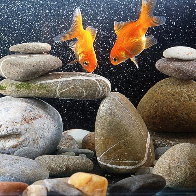 Natural River Rocks, Small Rocks for Plants Decorative Polished Pebbles for Fish Tank, Gardening, Flower Pots, Vase Fillers, Indoor Water Fountains, Landscaping, 40lbs, 2-3 Inch