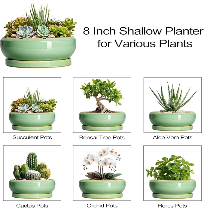 EPFamily Succulent Planters - 8 Inch Ceramic Bonsai Pots with Drainage Hole and Plant Tray, Round Planter for Indoor Outdoor Plants, Shallow Planter Bowl, Room Decor, Housewarming Gifts, Light Green