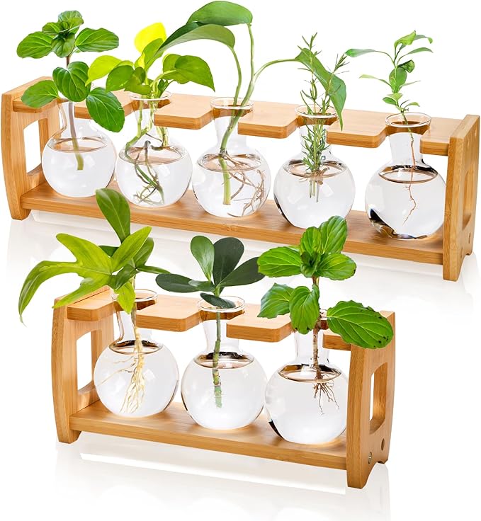 Pumtus 2 Pack Plant Propagation Stations, Desktop Plants Terrarium with Wooden Stand, Water Propagation Station, Hydroponic Plant Vase with 8 Glass Bulbs, Small Propagated Plants Jar for Home Office