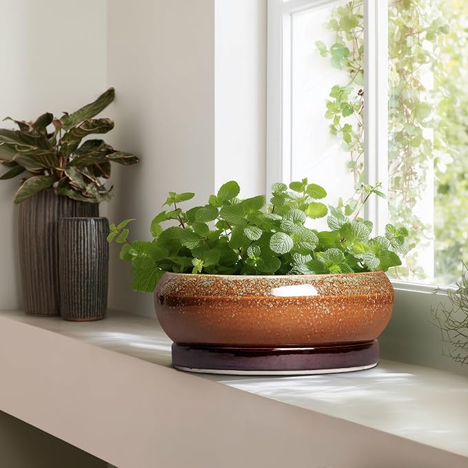 EPFamily Bonsai Pots 13 Inch - Large Ceramic Succulent Planter for Indoor Outdoor, Round Shallow Planters with Drainage Hole and Saucer, Large Succulent Pots, Patio Decor, Garden Gifts, Retro Brown