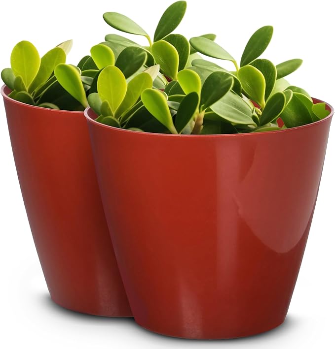 Headwind Charlevoix Planters– 4.5" 2 Pack Plastic Plant Pot in Brick Red, Indoor & Outdoor Pots for Plants with Drillable Drainage Hole, Decorative Plant Pot, Flower Pots Outdoor for Garden