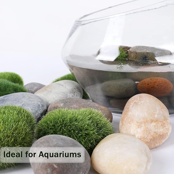 Ausluru 20LB Smooth Pebbles River Rocks for Landscaping, 100% Natural Hand-Picked Premium Decorative Pebbles, Ideal for Garden Landscaping, Home Decor, Aquariums, Painting,Mixed Colors